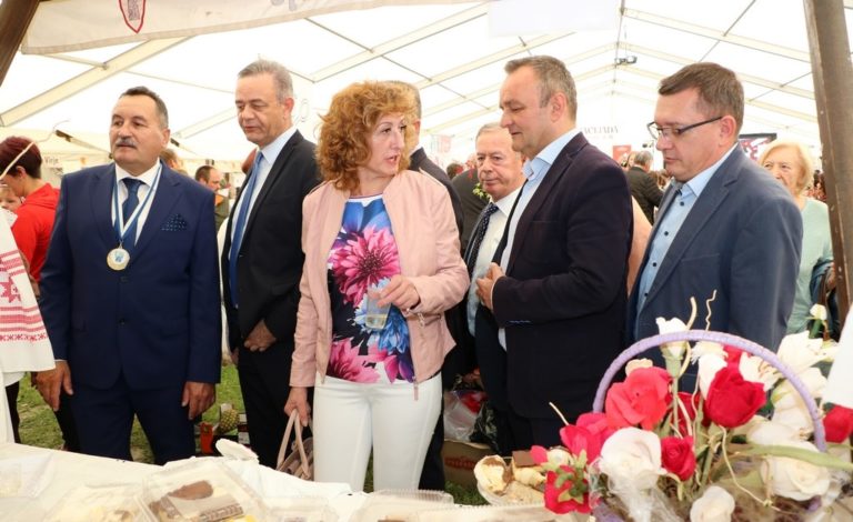Ljiljana Šapina postala je blagajnica HDZ-a