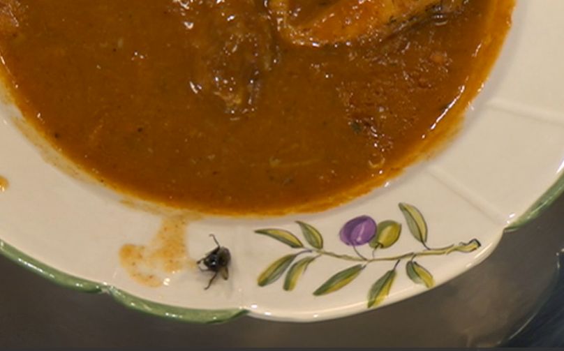 Muha na tanjuru