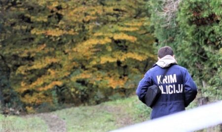 Lovac smrtno stradao u lovu kod mjesta Velika Dapčevica
