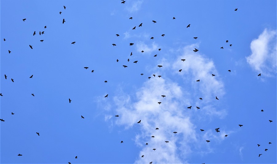 #