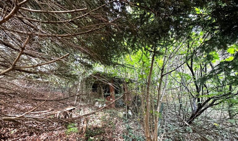 Kuća u šumi u Ulici Zvirišće u Koprivnici koju Grad prodaje za 1800 eura