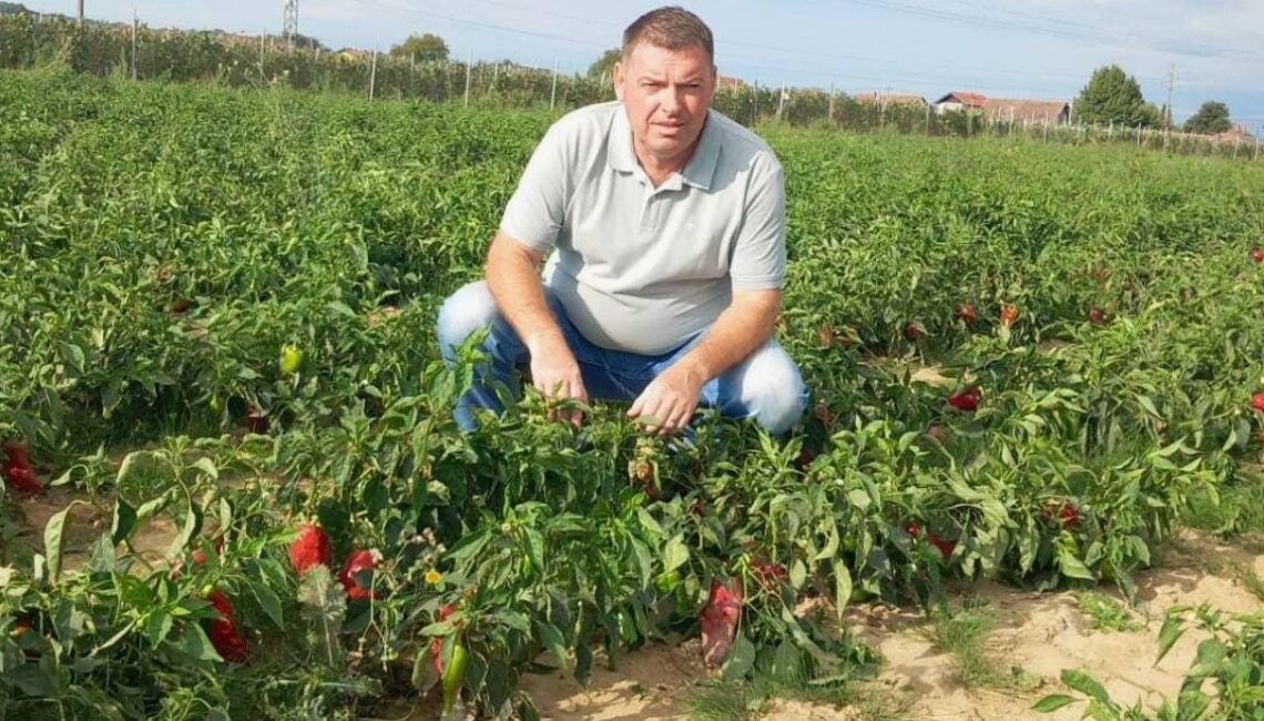 Robert Bačaj, novi direktor Podravkine poljoprivrede